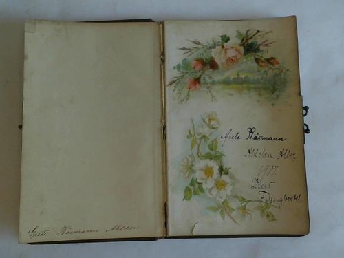 Poesiealbum der schülerin - poesiealbum,